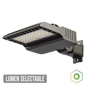 ORALSEL – Origin Lumen Selectable Area Light
