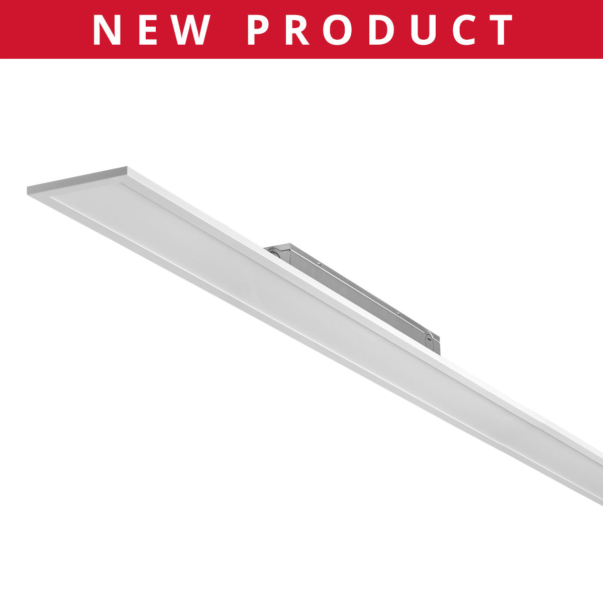 6' Commercial Linear
