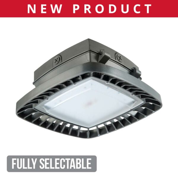 Fully Selectable Low Profile Canopy
