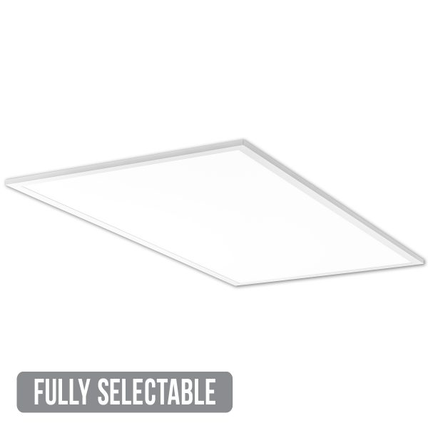 FAELP24 - Field Adjustable Edge Lit Panel 2x4