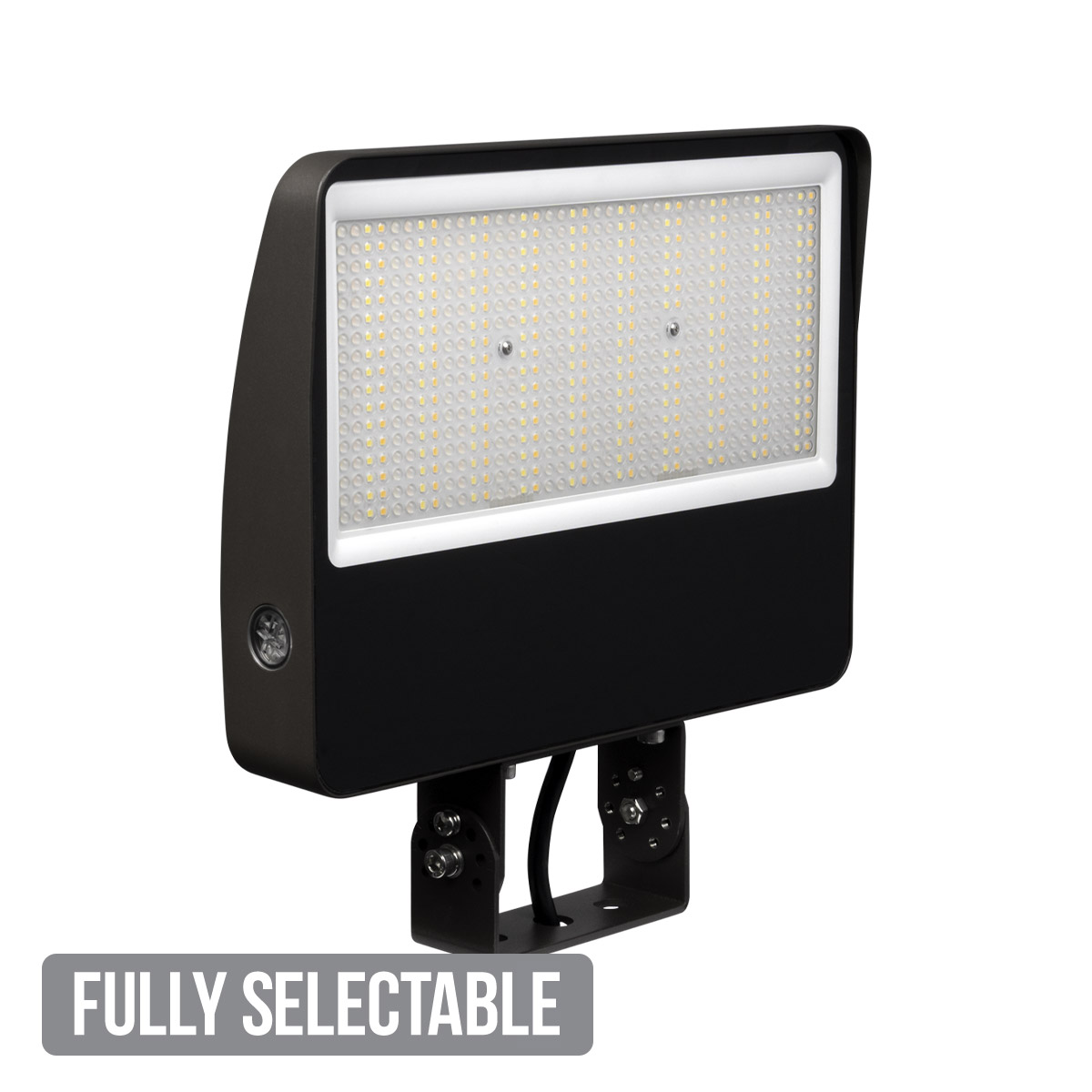 Fully Selectable Flood Light Large - Image 2