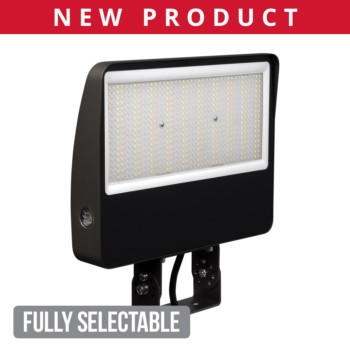 Fully Selectable Flood Light Large
