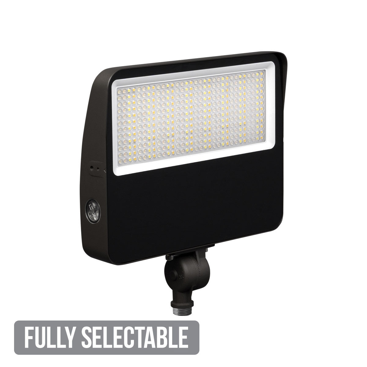 Fully Selectable Flood Light Medium - Image 2