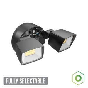 Origin Fully Selectable Motion Security Light