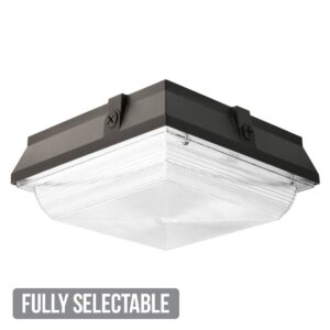 Fully Selectable 12" Vandal Resistant