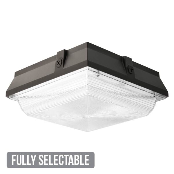 Fully Selectable 12" Vandal Resistant