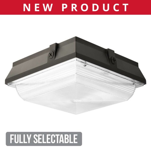 Fully Selectable 12" Vandal Resistant