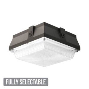 Fully Selectable 8" Vandal Resistant