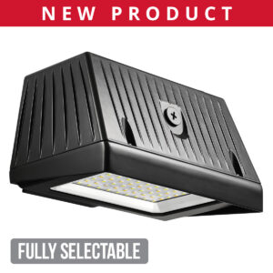 Black Hawk Fully Selectable Wall Light