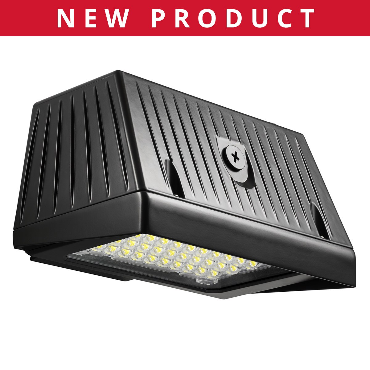 Black Hawk Wall Light