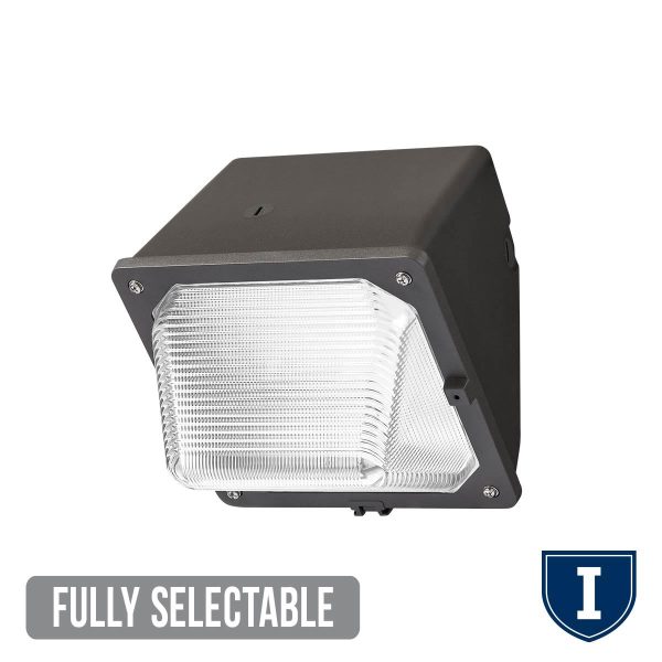 Independence Fully Selectable Wall Light Small